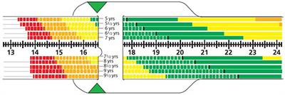 Using mid-upper arm circumference z-score measurement to support youth malnutrition screening as part of a global sports and wellness program and improve access to nutrition care